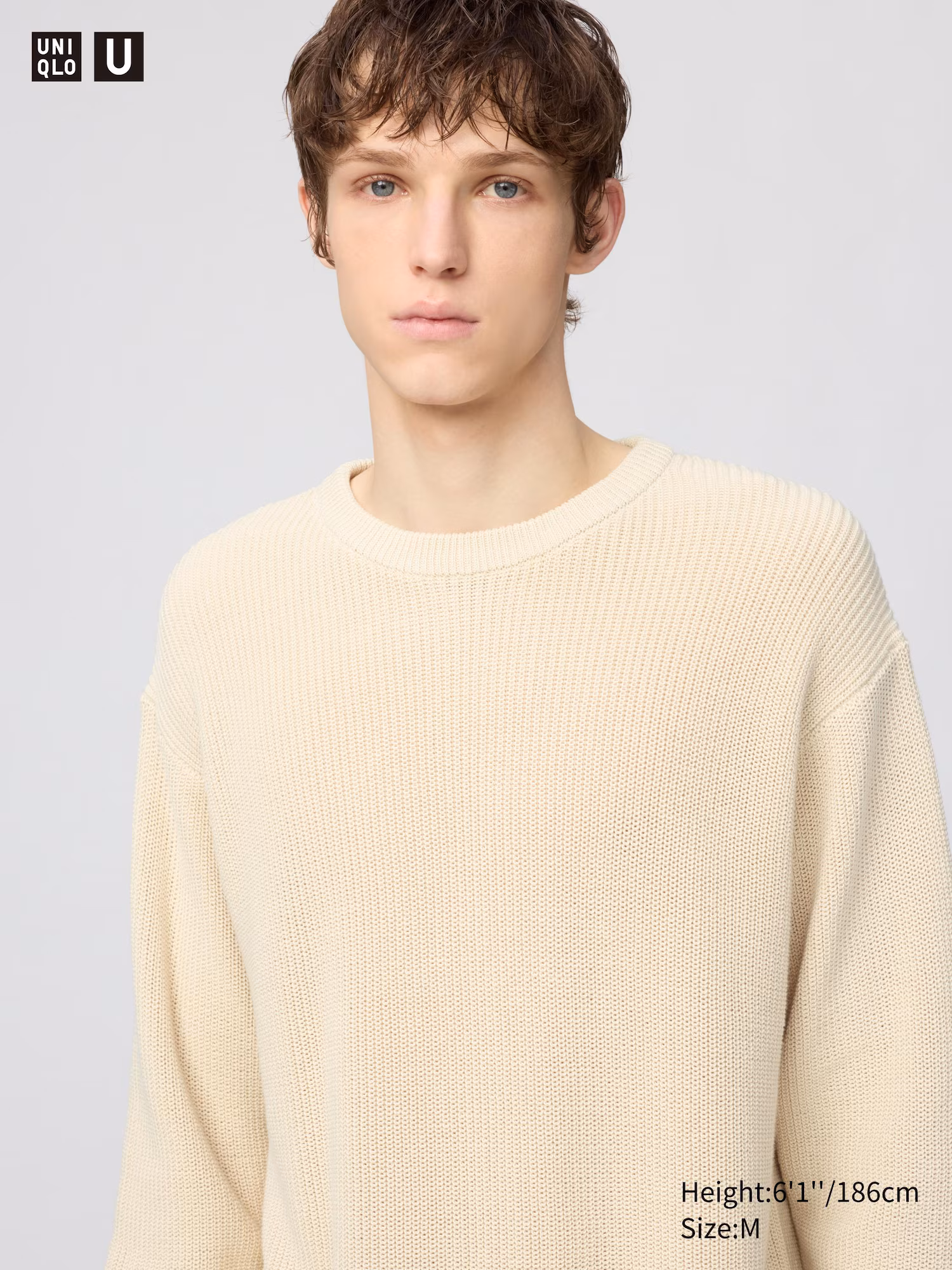 Mens Crew Neck Sweater